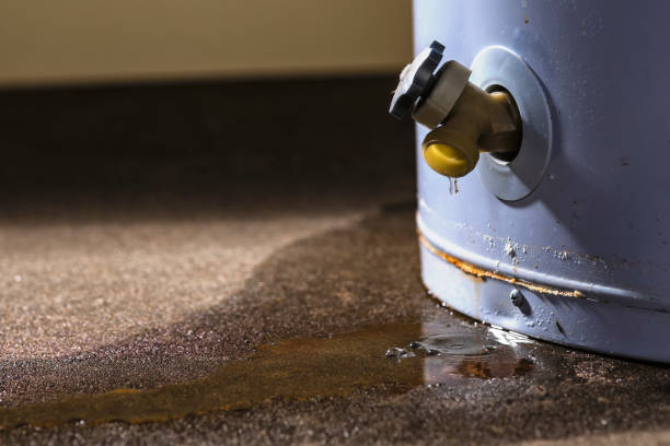 Water damage restoration experts in IL