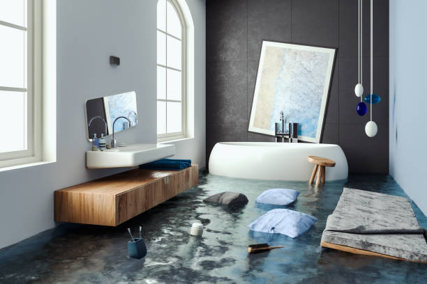 Best Water damage restoration near me  in Mount Morris, IL