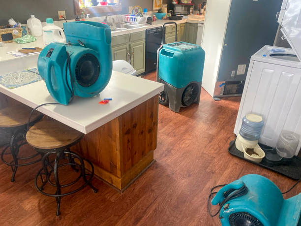 Best Residential water damage restoration  in Mount Morris, IL