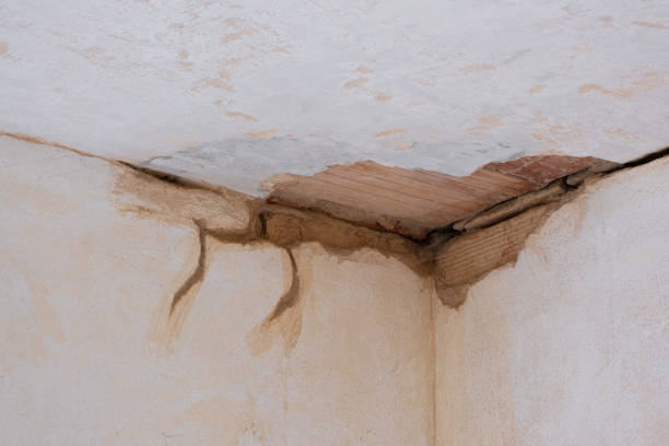  Mount Morris, IL Water damage restoration Pros