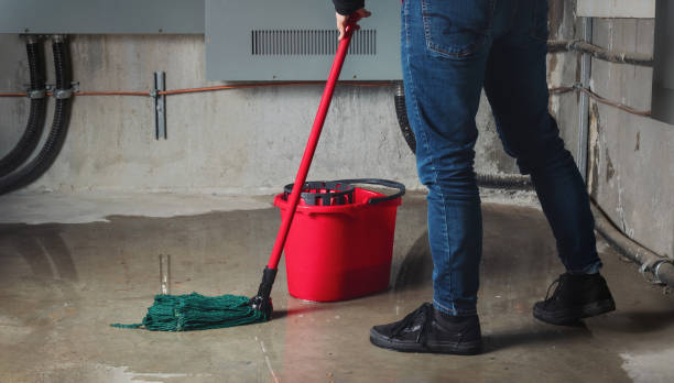 Best 24/7 water damage repair  in Mount Morris, IL