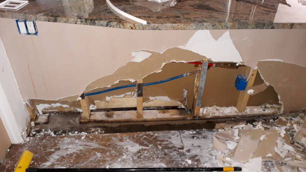 Best Water damage repair service  in Mount Morris, IL