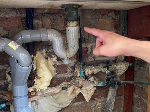 Best Emergency water damage restoration  in Mount Morris, IL